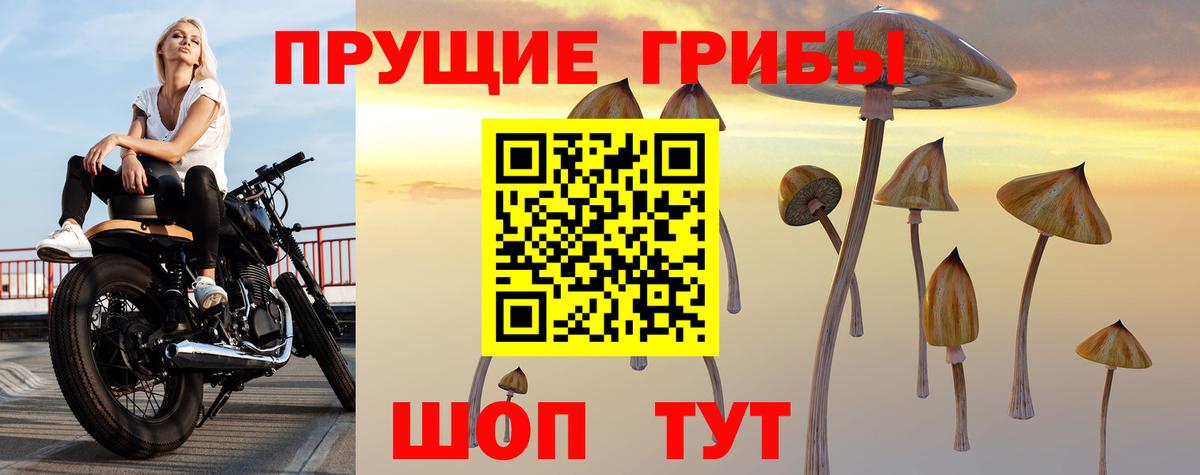 Галлюциногенные грибы Magic Shrooms Бузулук